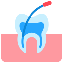 Endodoncia